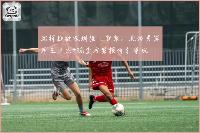 沈梓捷被深圳摆上货架,北控男篮用王少杰+现金方案报价引争议